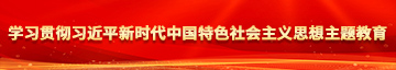 操骚逼老太太视频学习贯彻习近平新时代中国特色社会主义思想主题教育